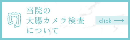 当院の大腸カメラ検査について